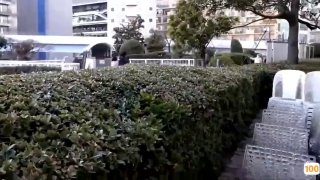 花姬直播APP约了个羞涩长相甜美萌妹